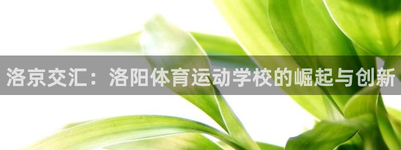 中欧体育官网：洛京交汇：洛阳体育运动学校的崛起与创新
