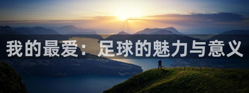 中欧体育：我的最爱：足球的魅力与意义