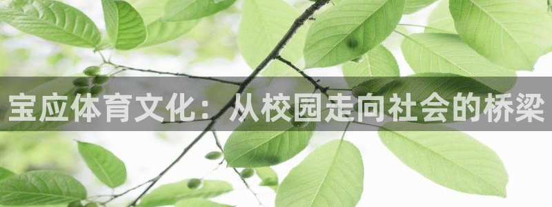 中欧体育集团：宝应体育文化：从校园走向社会的桥梁