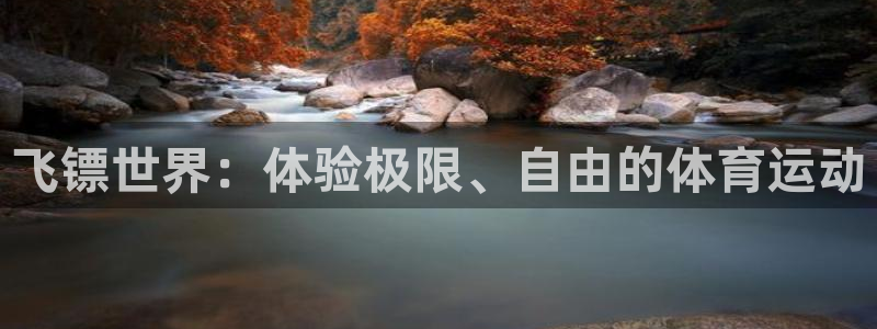 中欧体育：飞镖世界：体验极限、自由的体育运动