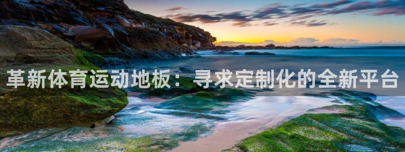 中欧体育(zoty)官网：革新体育运动地板：寻求定制化的全新平台