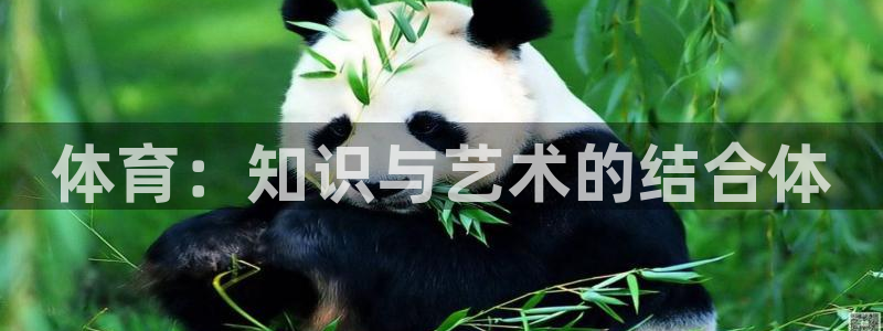 中欧体育zoty下载：体育：知识与艺术的结合体