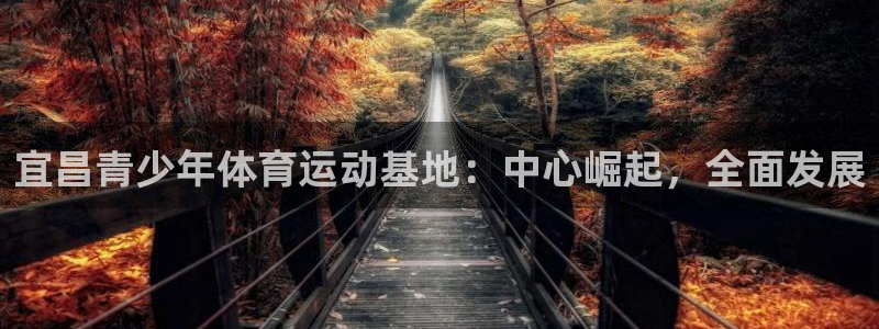 中欧体育网页版：宜昌青少年体育运动基地：中心崛起，全面发展