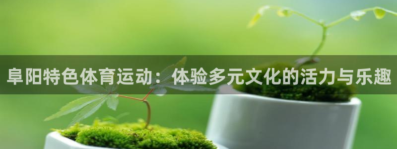 中欧体育平台：阜阳特色体育运动：体验多元文化的活力与乐趣