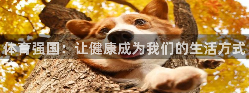 zyty中欧体育平台：体育强国：让健康成为我们的生活方式