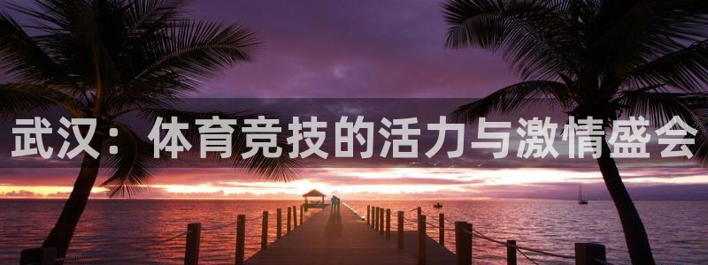 中欧体育ac米兰：武汉：体育竞技的活力与激情盛会